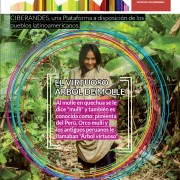 ciberandes_2015_3_cover